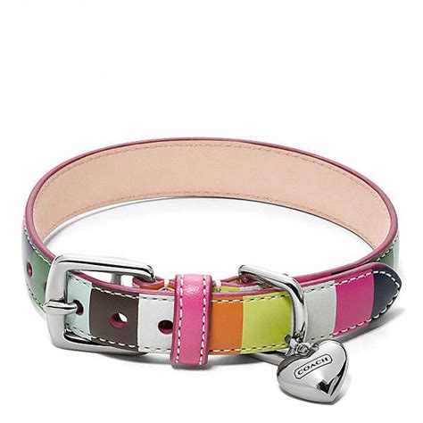 coach dog collars discontinued.